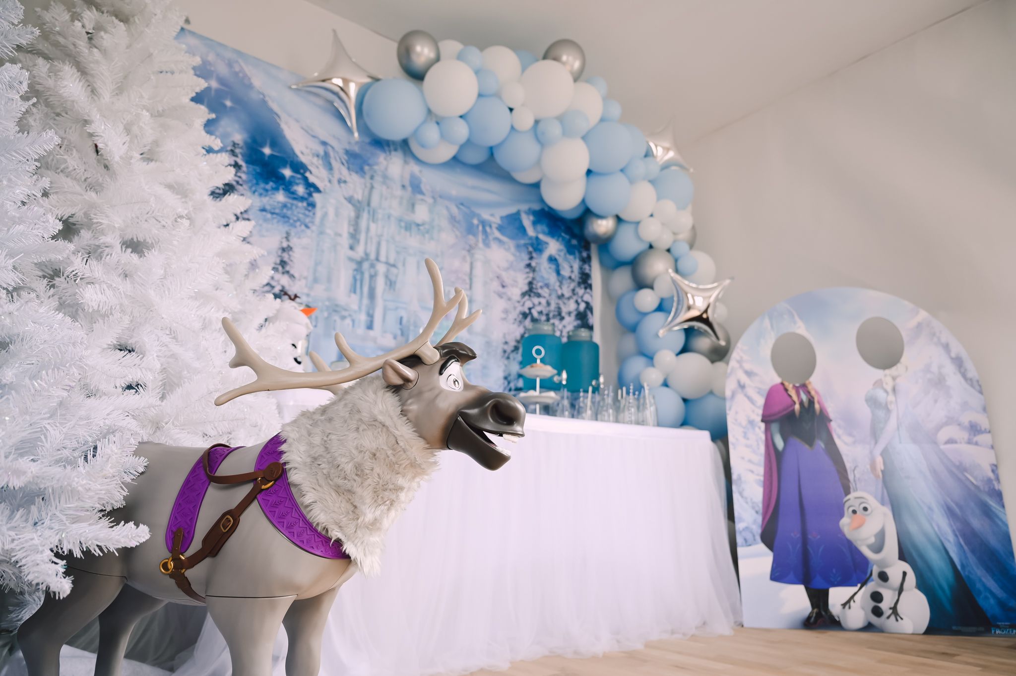 Décoration d'Anniversaire Reine Des Neiges - Un Rêve à partager