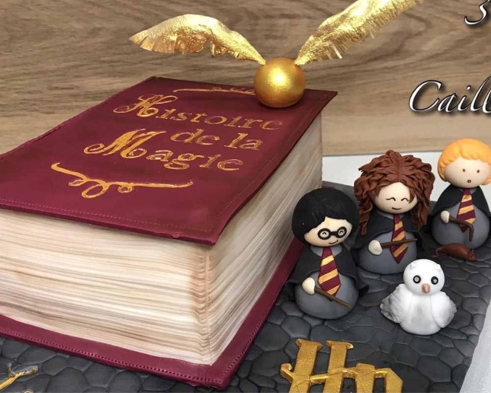 Gâteau Harry Potter 3p'tits cailloux